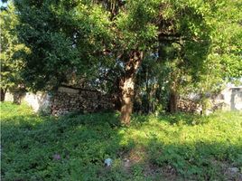  Grundstück zu verkaufen in Merida, Yucatan, Merida, Yucatan