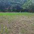  Land for sale in Bantul, Yogyakarta, Pajangan, Bantul