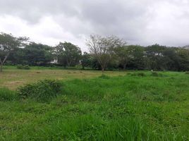  Terreno (Parcela) en venta en Casanare, Yopal, Casanare