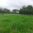  Land for sale in Yopal, Casanare, Yopal