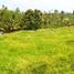  Land for sale in Selemadeg, Tabanan, Selemadeg