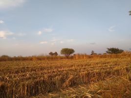  Land for sale in Ixtlahuacan De Los Membrillos, Jalisco, Ixtlahuacan De Los Membrillos