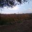  Land for sale in Ixtlahuacan De Los Membrillos, Jalisco, Ixtlahuacan De Los Membrillos