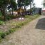  Land for sale in Yogyakarta, Sleman, Sleman, Yogyakarta