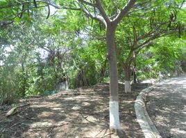  Grundstück zu verkaufen in Cuernavaca, Morelos, Cuernavaca, Morelos