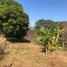  Land for sale in San Martin, Tarapoto, San Martin, San Martin