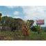  Land for sale in San Martin, Tarapoto, San Martin, San Martin