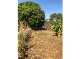  Land for sale in San Martin, Tarapoto, San Martin, San Martin