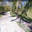  Land for sale in Alcoy, Central Visayas, Alcoy