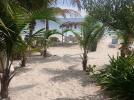 8 Habitación Casa en venta en Othon P Blanco, Quintana Roo, Othon P Blanco, Quintana Roo