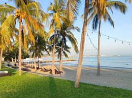 퇴비, NayaritPropertyTypeNameBedroom, 퇴비