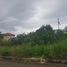  Land for sale in Central Visayas, Talisay City, Cebu, Central Visayas