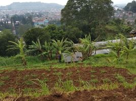  Tanah for sale in Lembang, Bandung, Lembang