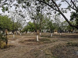  Grundstück zu verkaufen in Parras, Coahuila, Parras