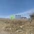  Land for sale in Tarimbaro, Michoacan, Tarimbaro
