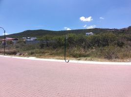 Estudio Casa en venta en El Marques, Querétaro, El Marques