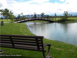 在墨西哥出售的 土地, Toluca, Mexico, 墨西哥