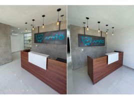 156 m² Office for rent in Merida, Yucatan, Merida