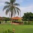 10 Schlafzimmer Haus zu verkaufen in El Cerrito, Valle Del Cauca, El Cerrito