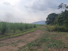  Land for sale in Naranjal, Guayas, Taura, Naranjal