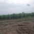  Land for sale in Naranjal, Guayas, Taura, Naranjal