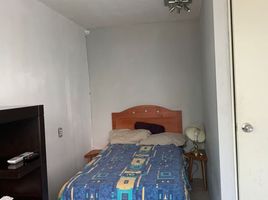 1 Schlafzimmer Appartement zu vermieten in Atizapan De Zaragoza, Mexico, Atizapan De Zaragoza