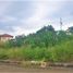  Land for sale in Talisay City, Cebu, Talisay City