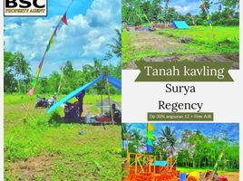  Tanah for sale in Malang Regency, East Jawa, Ngajum, Malang Regency