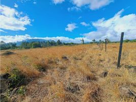 Studio Villa zu verkaufen in Boquete, Chiriqui, Palmira