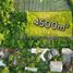  Land for sale in Tabanan, Bali, Tabanan, Tabanan