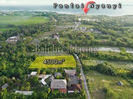  Land for sale in Tabanan, Bali, Tabanan, Tabanan