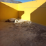 5 Habitación Casa en venta en San Agustin Tlaxiaca, Hidalgo, San Agustin Tlaxiaca, Hidalgo