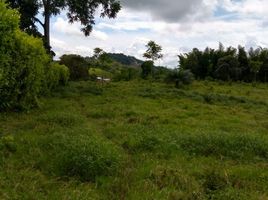  Land for sale in Risaralda, Caldas, Risaralda