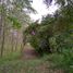  Land for sale in Tempoal, Veracruz, Tempoal