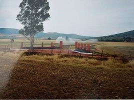  Terrain for sale in Tepatitlan De Morelos, Jalisco, Tepatitlan De Morelos