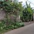  Land for sale in Ubud, Gianyar, Ubud