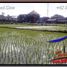  Land for sale in Ubud, Gianyar, Ubud