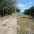  Grundstück zu verkaufen in Othon P Blanco, Quintana Roo, Othon P Blanco