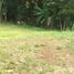  Land for sale in Ciampea, Bogor, Ciampea