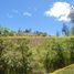  Land for sale in Valle, Cuenca, Valle