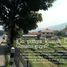  Land for sale in Bandung, West Jawa, Cicalengka, Bandung