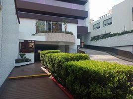 470 m2 Office for rent in Miguel Hidalgo, Mexico City, Miguel Hidalgo