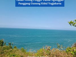  Land for sale in Yogyakarta, Tepus, Gunung Kidul, Yogyakarta