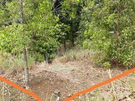  Terrain for sale in Seririt, Buleleng, Seririt