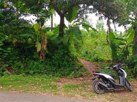  Land for sale in Purwakarta, West Jawa, Purwakarta, Purwakarta