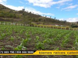  Terreno (Parcela) en venta en Sigsig, Azuay, Sigsig, Sigsig