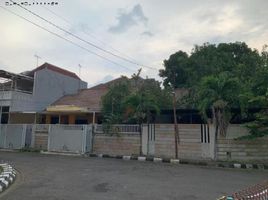 Villa 4 chambre à vendre à Mulyorejo, East Jawa, Mulyorejo