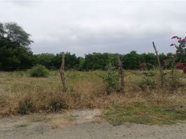  Land for sale in Portoviejo, Manabi, Portoviejo, Portoviejo