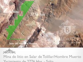  Land for sale in Catamarca, Antofagasta De La Sierra, Catamarca