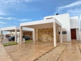 Maison 3 chambre à vendre à Conkal, Yucatan, Conkal, Yucatan